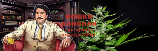 экстази Арсеньев