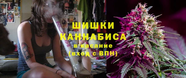 мдпв Иннополис