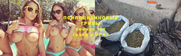 экстази Арсеньев