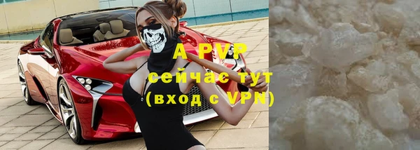 гидра Инта