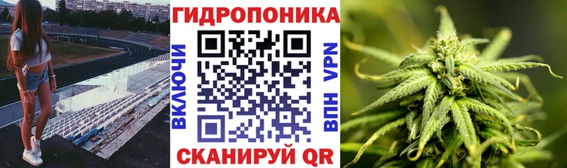 МАРИХУАНА ГИДРОПОН  наркота  Любим 